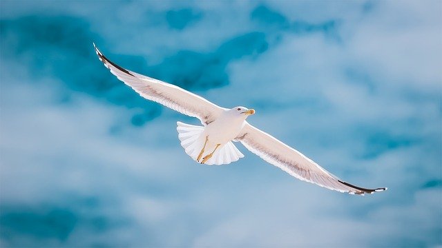 Что происходит в организме после отказа от курения