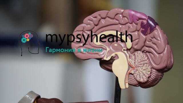 комплексный подход в лечении наркомании и алкоголизма