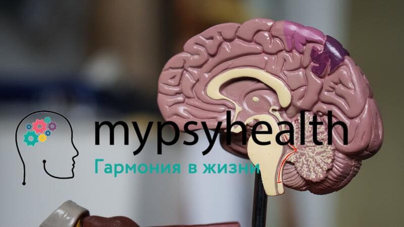 деменция при болезни альцгеймера